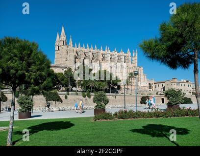 Kathedrale Santa Maria von Palma und Parc de la Mar, Palma, Mallorca, Balearen, Spanien Stockfoto