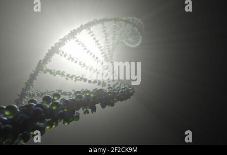 DNA-Molekül mit Hintergrundbeleuchtung. Genetischer Code, helikale Moleküle. Stockfoto