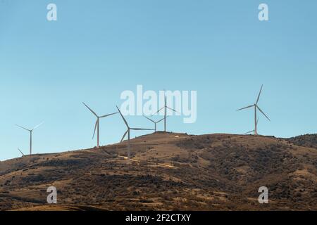 Gruppe von Windmühlen für elektrische Energieerzeugung aus erneuerbaren Quellen Stockfoto