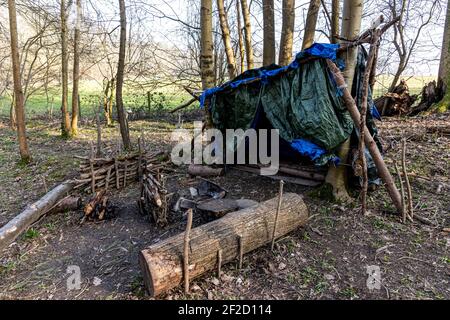 Primitive Überlebensschutz im Wald Stockfoto