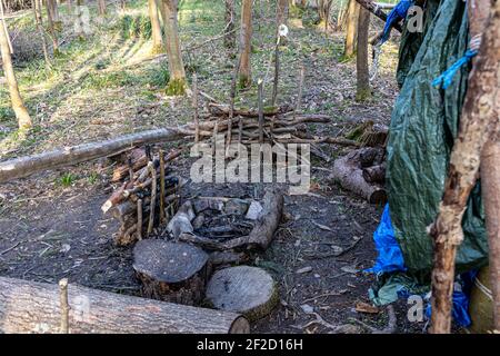 Primitive Überlebensschutz im Wald Stockfoto