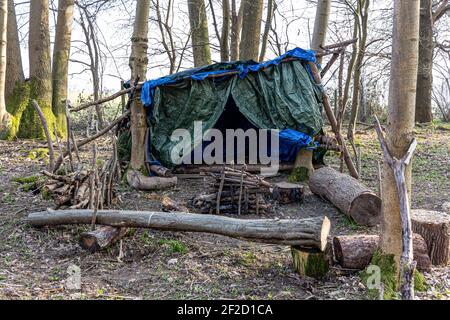 Primitive Überlebensschutz im Wald Stockfoto