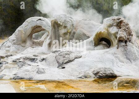 Grotto Geysir im Yellowstone National Park dampft in seinem komplizierten Muster Stockfoto