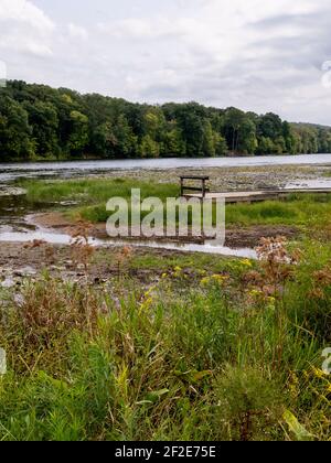 Lake Justice im Two Mile Run County Park in Pennsylvania im Sommer mit Blick auf das Wasser, Sumpfland, See, Bäume, Himmel und Wolken, Perfekt, b Stockfoto