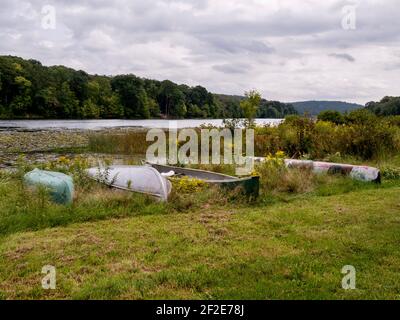 Lake Justice im Two Mile Run County Park in Pennsylvania im Sommer mit Blick auf das Wasser, Sumpfland, See, Bäume, Himmel und Wolken, Perfekt, b Stockfoto