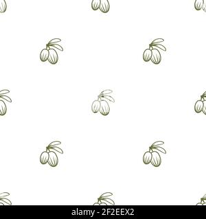 Shea Nuss grün nahtlose Muster auf weißem Hintergrund. Vitellaria Schönheit und Kosmetik Ornament. Kosmetik-Inhaltsstoff Tapete. Nähröl für die Haut Stock Vektor