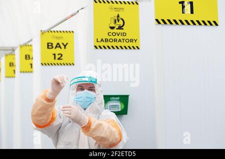 Datei-Foto vom 29/01/21 von einem Labortechniker mit einem Tupfer in RocDocs Drive-Thru-Testanlage im Blue Car Park des Dublin Airport für Spediteure nach Frankreich. Ausgabedatum: Freitag, 12. März 2021. Stockfoto