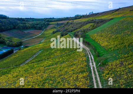 Luftaufnahme auf den Weinbergen in der Sancerre Gegend im Herbst, Berry, Cher, Frankreich Stockfoto