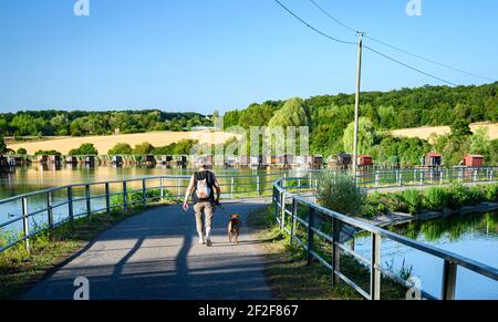 Rückansicht des Mannes mit Hund, der auf Deich zwischen Teichen läuft. Straße mit Geländern gesäumt. Albe Lacs, Sarreguemines, Frankreich. Stockfoto