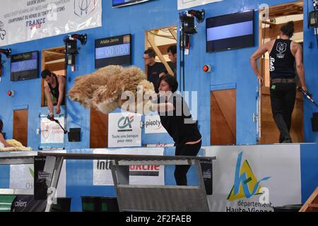 Audrey Lamb aus Schottland tritt beim World Woolhandling in an Frankreich Stockfoto