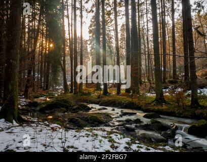 Mystische einsame Hütte versteckt tief in magischen Wäldern während des Winters mit Sonnenstrahlen zwischen bunten Bäumen. Stockfoto