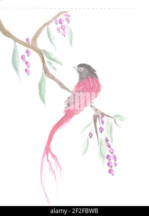 Einladungskarte mit hellen Aquarell Vogel. Original Kunst, Aquarell von orientalischem Stil Vogel mit Blüten. Chinesische Kunst Stockfoto