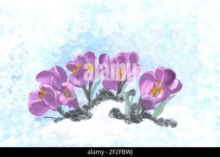 Krokusse isoliert auf Weiß, Aquarellmalerei auf Leinwand. Schöne lebendige Krokusblüten mit grünen Blättern auf weißem Hintergrund. Horizontale Vorlage. Stockfoto