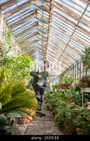 Chefgärtner Andrew Humphris im Parham House and Gardens bewässert die Pelargonien im edwardianischen Teak-Gewächshaus im Herrenhaus in Pulborough Stockfoto