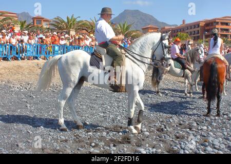 Die Besitzer bringen ihre Tiere zum Segen an den Strand während der Fiesta de San Sebastian in La Caleta, Costa Adeje, Kanarische Inseln, Spanien Stockfoto