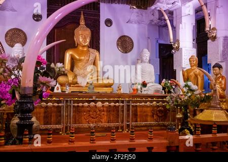 Buddhistischer Schrein mit Buddha-Statuen und Elefantenzähnen Stockfoto