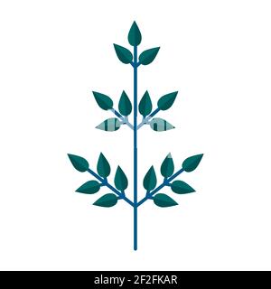 Einfacher minimalistischer grüner Zweig des Baumes mit Blättern. Florale Kollektion von eleganten Pflanzen für die saisonale Dekoration. Stilisierte Vektor-Symbole der Botanik. Stock Vektor