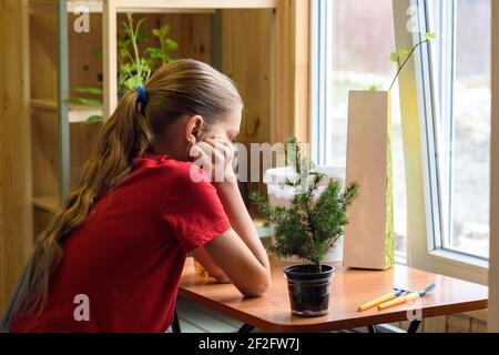 Ein Mädchen sitzt am Fenster an einem Tisch Welche gibt es Gartenpflanzen und wartet auf den Frühling Stockfoto