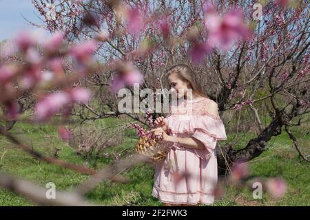 Schöne blonde Frau sammelt Blumen in blühenden Garten im Frühjahr Stockfoto