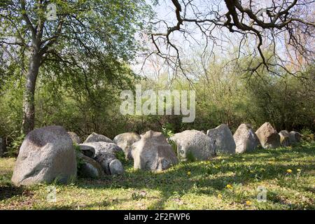 Megalithgrab bei Lütow, Halbinsel Gnitz, Usedom Stockfoto
