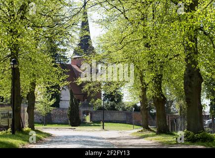 Dorfkirche Mellenthin, Insel Usedom, Mecklenburg-Vorpommern, Deutschland Stockfoto