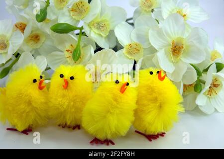 Ostereier & Babyküken - Eier und Küken symbolisieren neues Leben. Eier sind seit der Antike ein Symbol des Frühlings. Stockfoto