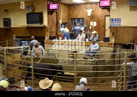 Groesbeck Auction & Livestock Co. Texas, USA Stockfoto