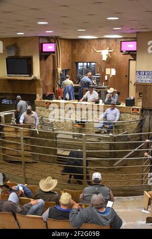 Groesbeck Auction & Livestock Co. Texas, USA Stockfoto