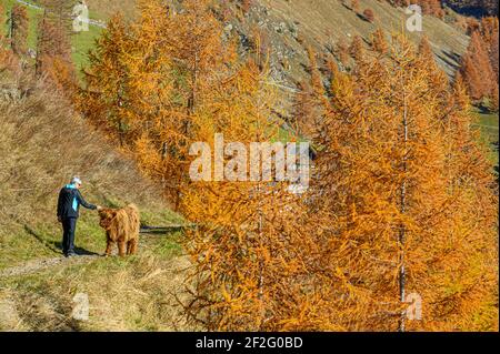 Italien, Trentino-Südtirol, Südtirol, Vinschgau, Ötztaler Alpen, Schnalstal, Schnals, Schnalstal, Wandern am Vernagt Stausee, Herbst Stockfoto