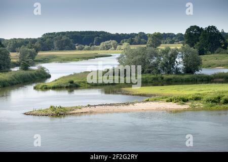 Auen- und Uferlandschaft bei Dömitz Stockfoto