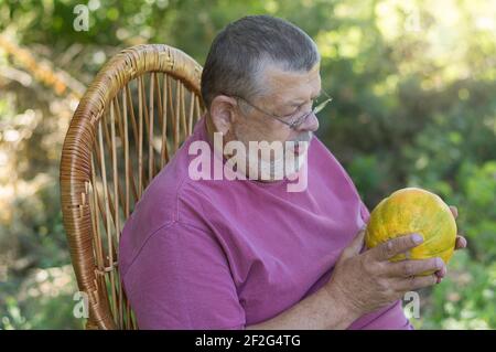 Außenportrait des bärtigen kaukasischen Senior Farmers, der im Whicker sitzt Stuhl und beobachten auf reife Melone in den Händen Stockfoto