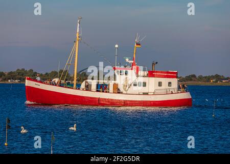 Ausflugsboot, Insel Fehmarn, Burgtiefe Stockfoto