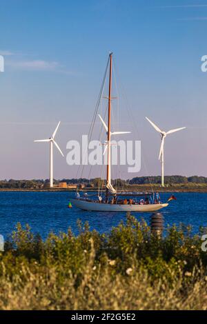 Ausflugsboot, Insel Fehmarn, Burgtiefe Stockfoto