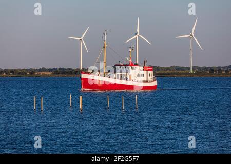 Ausflugsboot, Insel Fehmarn, Burgtiefe Stockfoto