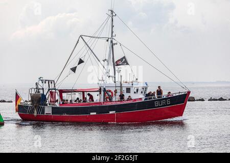 Ausflugsboot, Insel Fehmarn, Burgtiefe Stockfoto