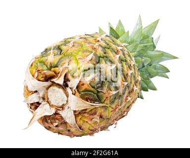 Ananas isoliert auf weißem Hintergrund. Beschneidungspfad Stockfoto