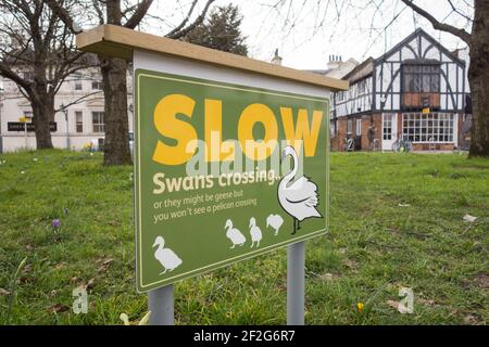 Slow Swans Crossing-Schild in der Nähe des Teiches in Barnes, Südwest-London, Großbritannien Stockfoto