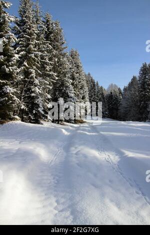 Winterwanderung bei Gerold, bei Klais, Europa, Deutschland, Bayern, Oberbayern, Werdenfels, Winter, Traumweg Stockfoto