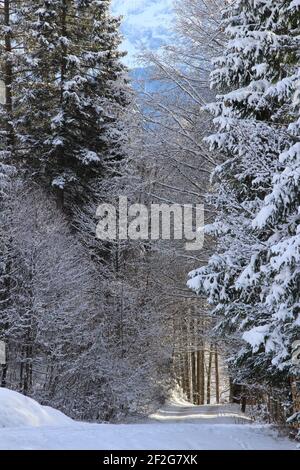 Winterwanderung in Gerold, bei Klais, Europa, Deutschland, Bayern, Oberbayern, Werdenfels, Winter, Stockfoto