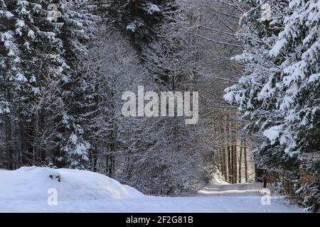 Winterwanderung in Gerold, bei Klais, Europa, Deutschland, Bayern, Oberbayern, Werdenfels, Winter, Weg ins Glück, Stockfoto