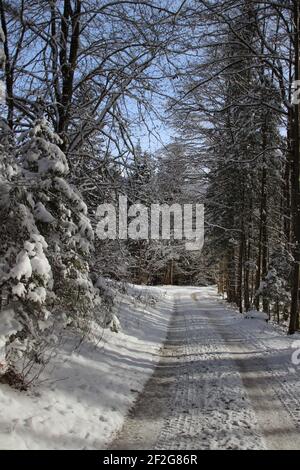 Winterwanderung bei Gerold, bei Klais, Europa, Deutschland, Bayern, Oberbayern, Werdenfels, Winter, Straße in den Wald Stockfoto