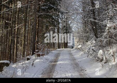 Winterwanderung bei Gerold, bei Klais, Europa, Deutschland, Bayern, Oberbayern, Werdenfels, Winter, Straße in den Wald Stockfoto