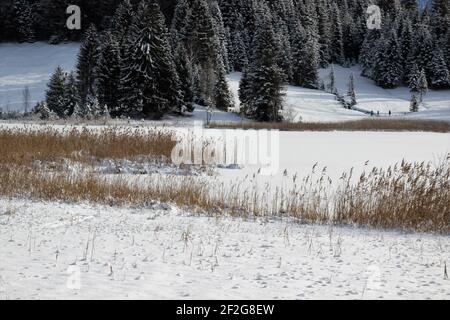 Winterwanderung bei Gerold, bei Klais, Europa, Deutschland, Bayern, Oberbayern, Werdenfels, Winter, gefrorener Geroldsee Stockfoto