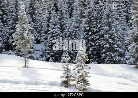 Winterwanderung in Gerold, bei Klais, Europa, Deutschland, Bayern, Oberbayern, Werdenfels, Winter, Stockfoto