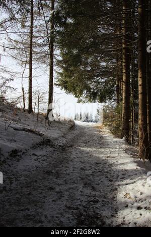 Winterwanderung bei Gerold, bei Klais, Europa, Deutschland, Bayern, Oberbayern, Werdenfels, Winter, Waldweg Stockfoto
