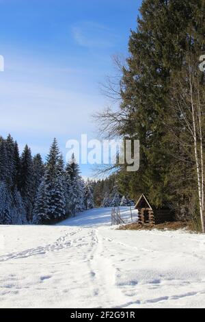 Winterwanderung bei Mittenwald, bei Elmau, Klais, Europa, Deutschland, Bayern, Oberbayern, Werdenfels, Winter, stimmungsvoll Stockfoto