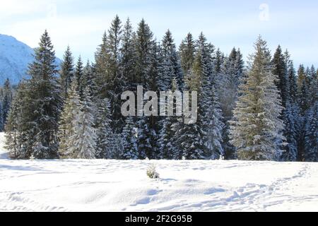 Winterwanderung bei Mittenwald, bei Elmau, Klais, Europa, Deutschland, Bayern, Oberbayern, Werdenfels, Winter, Stockfoto