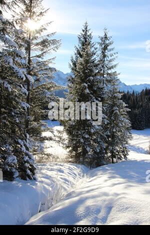 Deutschland, Bayern, Berge, Hirzeneck, Winterlandschaft, Oberbayern, Berglandschaft, Landschaft, Berge, Wald, Schnee, Winter, Jahreszeit, Bach, Rinnsal, Schneebereich Stockfoto