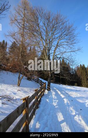 Winterwanderung bei Mittenwald, Elmau, Klais, Europa, Deutschland, Bayern, Oberbayern, Werdenfels, Winter, Ahorn Lärche Brettzaun Stockfoto