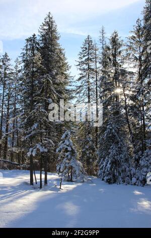 Winterwanderung bei Mittenwald, bei Elmau, Klais, Europa, Deutschland, Bayern, Oberbayern, Werdenfels, Winter, verschneit, Rücklicht Stockfoto